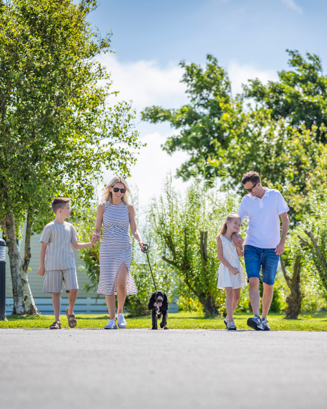 CTA Graphics - Website Popup